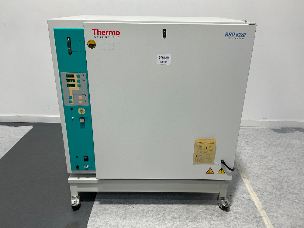 Image of Thermo Fisher Scientific BBD 6220 CO2 incubator